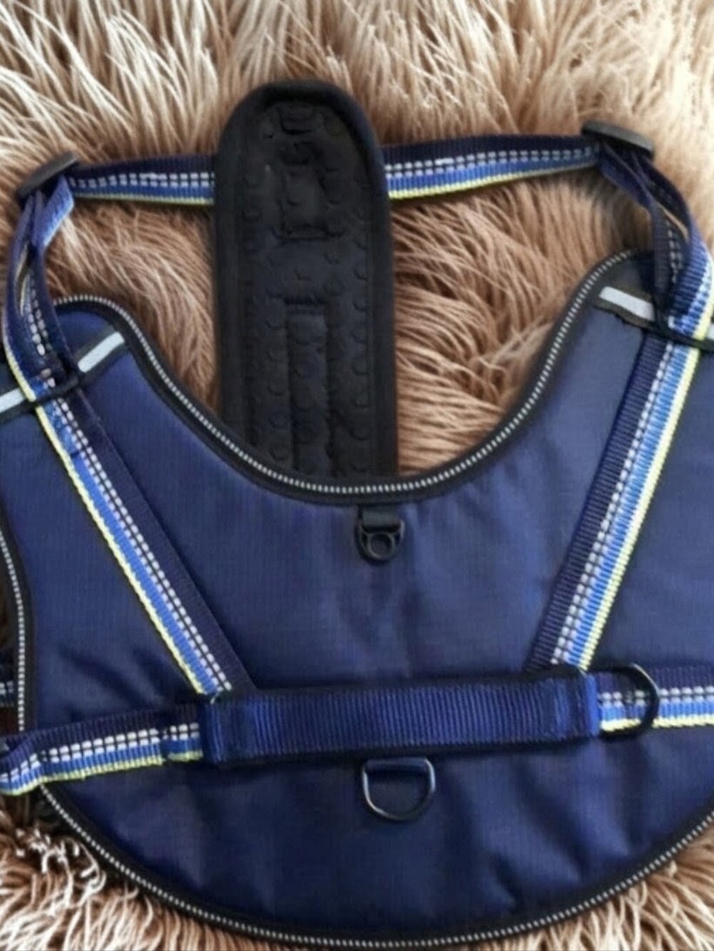 Top Paw Blue Neoprene Dog Harness